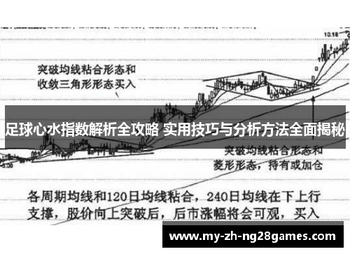足球心水指数解析全攻略 实用技巧与分析方法全面揭秘 足球心水指数解析全攻略 实用技巧与分析方法全面揭秘