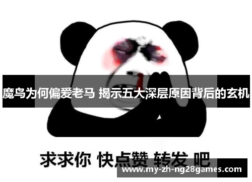 魔鸟为何偏爱老马 揭示五大深层原因背后的玄机 魔鸟为何偏爱老马 揭示五大深层原因背后的玄机