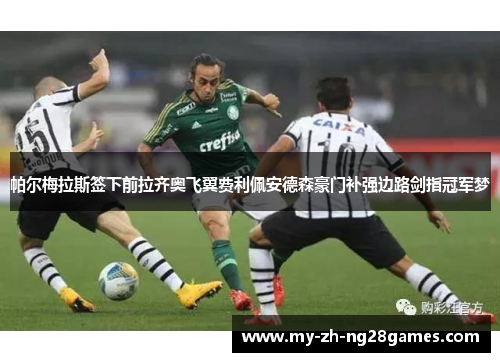帕尔梅拉斯签下前拉齐奥飞翼费利佩安德森豪门补强边路剑指冠军梦